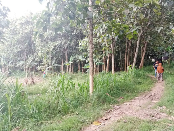 dijual-tanah-luas-17-hektar-lokasi-strategis-di-montong-tuban-big-0