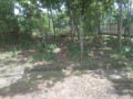 dijual-tanah-siap-bangun-temayang-bojonegoro-small-0