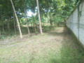 dijual-tanah-siap-bangun-temayang-bojonegoro-small-1