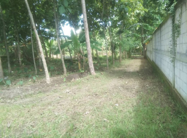 dijual-tanah-siap-bangun-temayang-bojonegoro-big-1