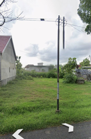 dijual-tanah-shm-cendoro-palang-tuban-big-0