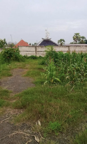 dijual-tanah-murah-dekat-ringroad-tuban-big-0