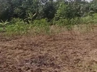 Dijual Tanah Tegalan Produktif Baureno, Desa Banjaran