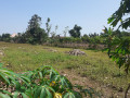 dujual-tanah-murah-di-dekat-dengan-perumahan-mutiara-kopen-penambangan-semanding-tuban-small-1