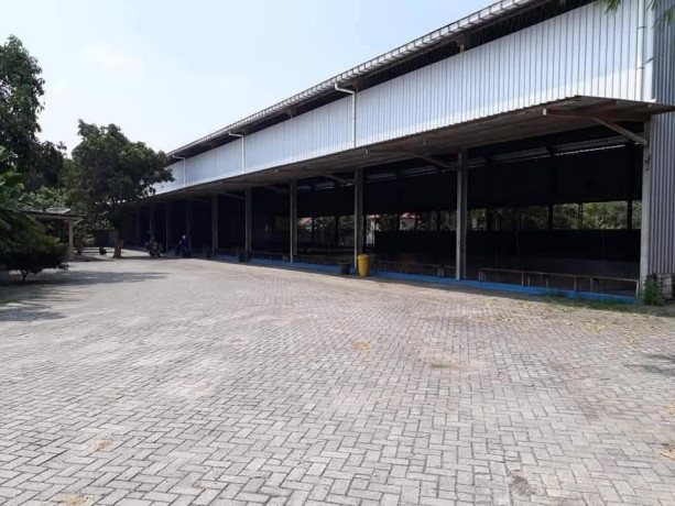 dijual-disewakan-property-strategis-ruko-gudang-aktif-di-bojonegoro-big-1