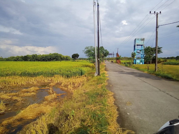 dijual-tanah-sawah-strategis-shm-kumpulrejo-kapas-bojonegoro-big-1