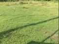 dijual-cepat-tanah-luas-5226-m2-shm-soko-tuban-small-0
