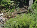 dijual-cepat-tanah-pekarangan-tanjungharjo-kapas-bojonegoro-small-0