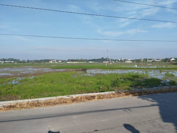dijual-sawah-aktif-di-campurejo-bojonegoro-shm-siap-balik-nama-big-0