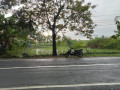 dijual-tanah-murah-pinggir-jalan-raya-dander-bojonegoro-small-0
