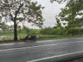 dijual-tanah-murah-pinggir-jalan-raya-dander-bojonegoro-small-1