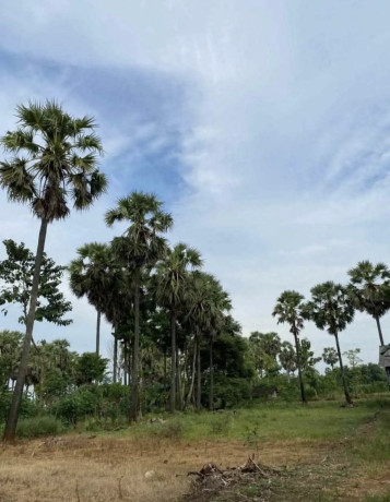 dijual-tanah-pribadi-di-dawung-palang-tuban-big-0