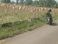 dijual-tanah-strategis-dekat-ringroad-semanding-small-0