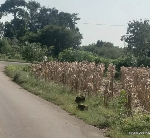 dijual-tanah-strategis-dekat-ringroad-semanding-big-1