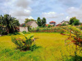 dijual-tanah-strategis-dekat-kota-tuban-small-0