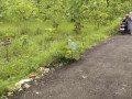 dijual-tanah-milik-sendiri-lokasi-mollo-semanding-small-1