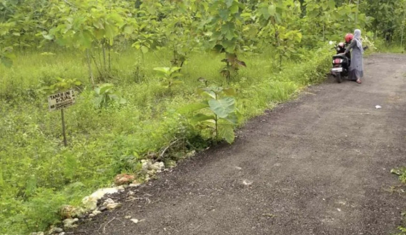 dijual-tanah-milik-sendiri-lokasi-mollo-semanding-big-1