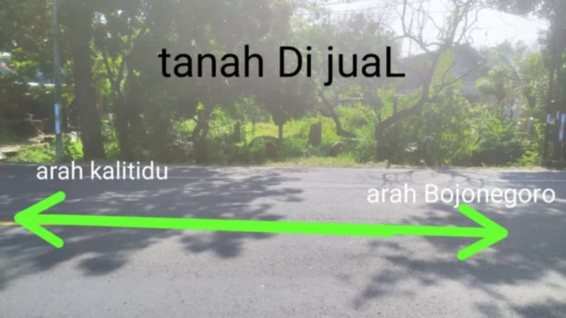 dijual-tanah-strategis-di-ngringenrejo-kalitidu-bojonegoro-big-1