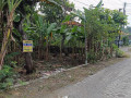 dijual-tanah-strategis-shm-desa-blimbing-dander-bojonegoro-small-0