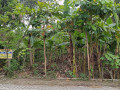 dijual-tanah-strategis-shm-desa-blimbing-dander-bojonegoro-small-1