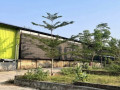 dijual-tanah-kandang-ayam-siap-usaha-jatirogo-small-3