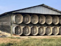 dijual-tanah-kandang-ayam-siap-usaha-jatirogo-small-0