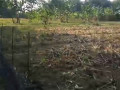 dijual-tanah-tegalan-siap-garap-bogo-kapas-bojonegoro-small-1