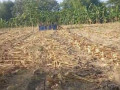 dijual-tanah-tegalan-siap-garap-bogo-kapas-bojonegoro-small-0