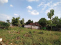 dijual-tanah-strategis-di-gedongombo-semanding-tuban-small-0