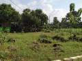 dijual-tanah-strategis-di-gedongombo-semanding-tuban-small-1