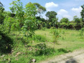 dijual-tanah-pekarangan-siap-bangun-small-1