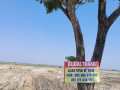tanah-sawah-dijual-bojonegoro-small-1