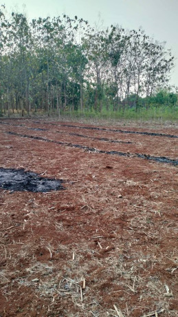 dijual-cepat-tanah-tegalan-semanding-tuban-big-0