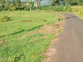 dijual-tanah-investasi-strategis-tobo-merakurak-tuban-small-1