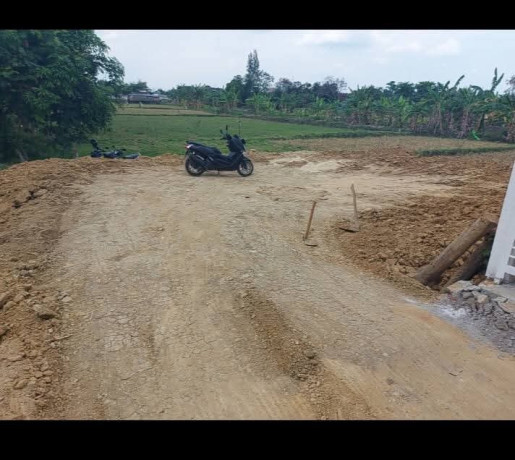 tanah-perumahan-shm-dijual-desa-ngampel-kec-kapas-bojonegoro-big-0