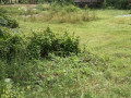 dijual-tanah-pekarangan-shm-lokasi-strategis-sumberrejo-bojonegoro-small-0