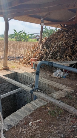 listing-lahan-sawah-jenu-tuban-big-0
