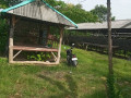 dijual-tanah-kandang-ayam-petelur-siap-pakai-small-1