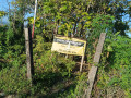 disewakan-dijual-lahan-kosong-dibukit-dengan-view-terbaik-rengel-tuban-small-0