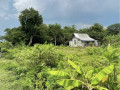 dijual-tanah-di-daerah-tanjungharjo-kapas-bojonegoro-small-1