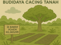 butuh-lahan-untuk-budidaya-cacing-tanah-skala-kecil-small-0