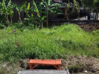 Dijual Tanah Pekarangan Murah Lokasi dalam Kota Bojonegoro