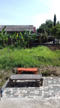 dijual-tanah-pekarangan-murah-lokasi-dalam-kota-bojonegoro-big-0