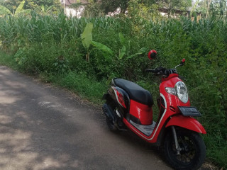 Dijual Tanah SHM Lokasi Padat Penduduk, Tegalrejo Merakurak